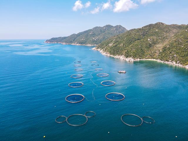 As Australis Aquaculture’s “The Better Fish” Brand Grows, So Does The Need For Education