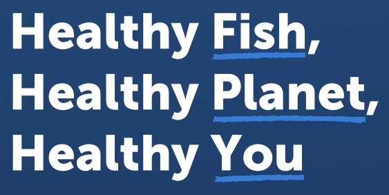 Global Seafood Alliance Launching First Consumer Marketing Campaign