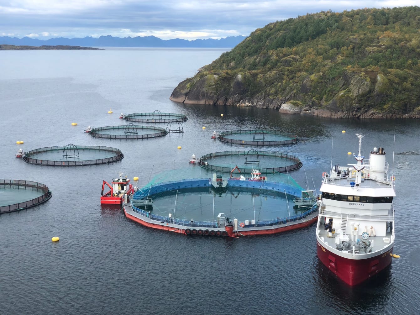 Production Starts at Cermaq’s New Closed Containment System in Horsvågen