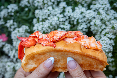 Cousins Maine Lobster Returns to South Texas as Touring Strategy Drives Growth