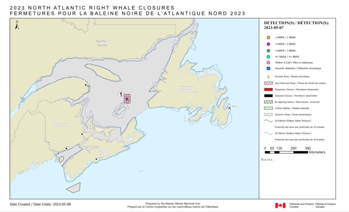 DFO Announces First Snow Crab Grid Closures Following Right Whale Sighting
