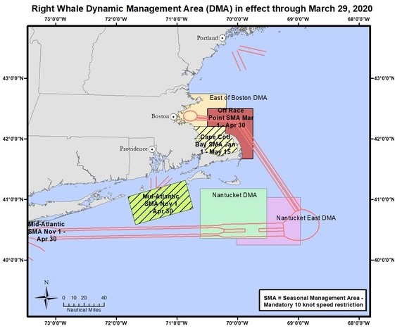 NOAA Announces New Voluntary Speed Restriction Zone East of Boston