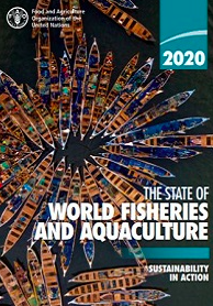 FAO Report: Worldwide Per Capita Fish Consumption Reaches New Record