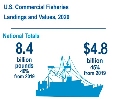 8 Highlights From The 2020 Fisheries of the United States Report