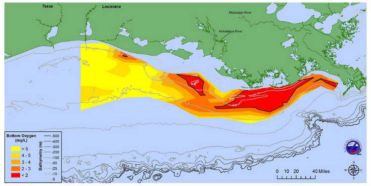 NOAA Finds Gulf of Mexico Dead Zone Smaller Than Anticipated