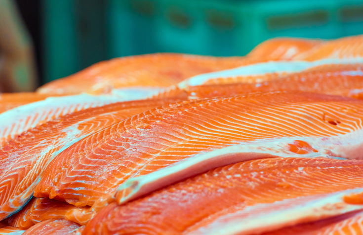 Salmon Production Begins to Pickup in Chile