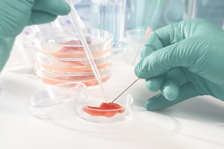 AMPS Innovation, NFI Submit Joint Comments to FDA on Cell-Cultured Seafood Labeling