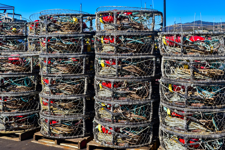 Many California Crabbers Switching to Chinook Trolling as Salmon Seasons Are Set