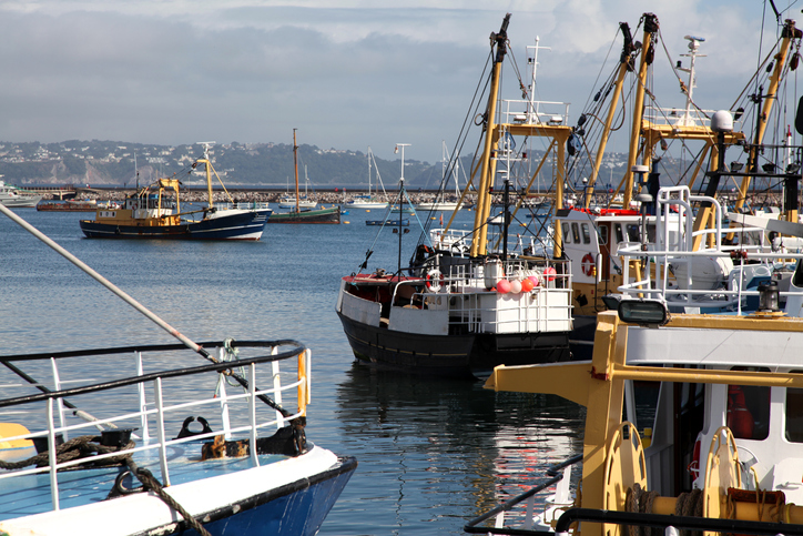 Study to Dive Into Impact of COVID-19 On UK Seafood Industry