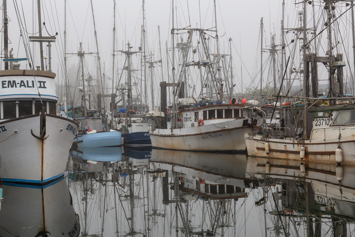 DFO to Open the Fish Harvester Benefit and Grant Program on August 24