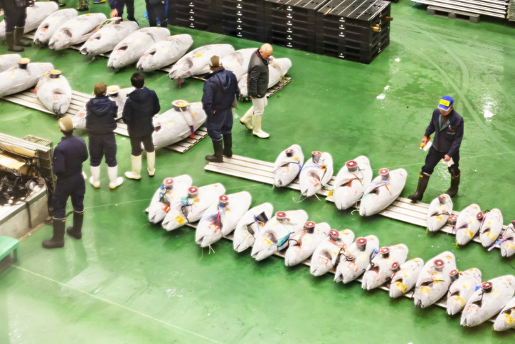 Tuna King Pays Over $1.8 Million At Toyosu Fish Markets First Auction of 2020