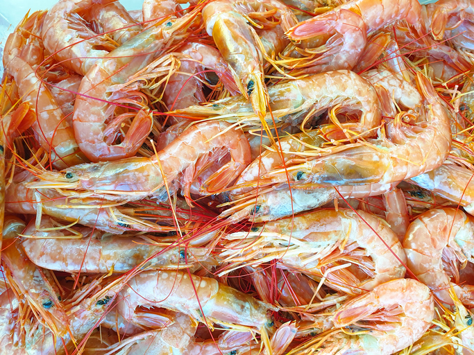 Foreign Seafood Suppliers Working to Perform Better in Recovering Chinese Market
