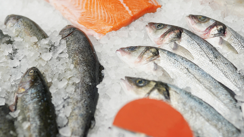 Pilot Study Shows Seafood Industry Needs Supply Chain Standards for Future Traceability Requirements