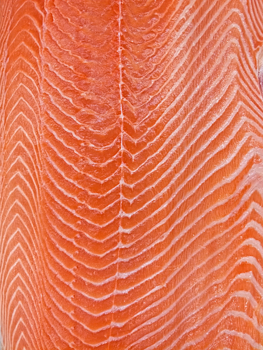 Beijing Authorities Confirm That There is ‘No Evidence’ That Salmon is a Host of the Coronavirus