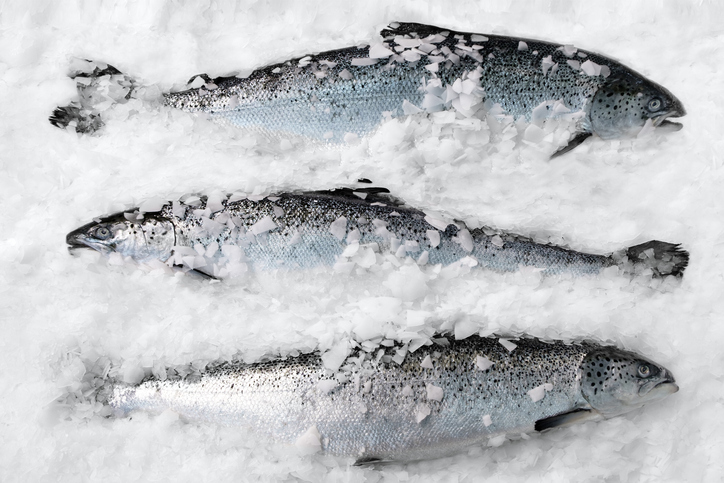 Norway Seafood Import Value Jumps 21% in July 2021; Continues to Rise Above 2020 Totals