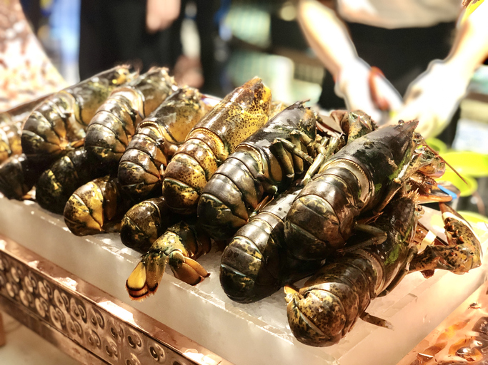 Boston Lobsters a Hit at Restaurants and Recent Festivals in China