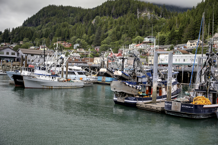 Survey on AK Harbor Cleanliness at Dillingham, Ninilchik