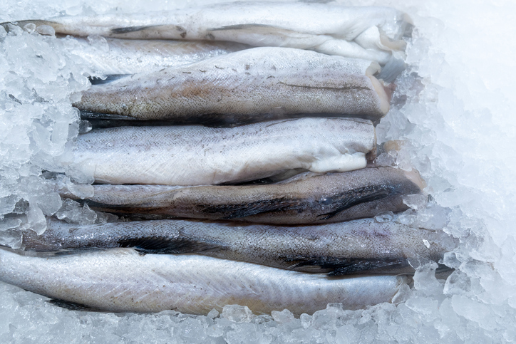 Russia May Face Pollock Shortage This Year