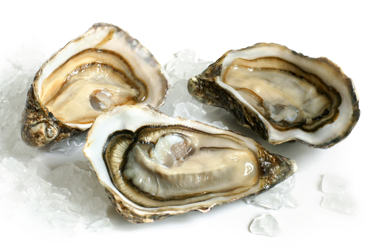 First Wild Oyster Fishery in Americas Receives MSC Certification