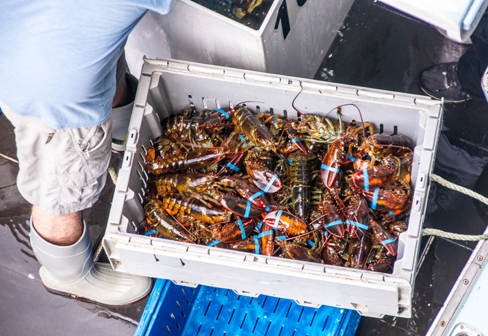 US, EU Reach Agreement to Eliminate Tariffs on Live, Frozen Lobster