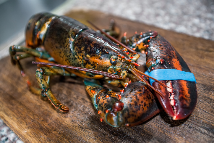Royal Greenland / Quin-Sea buys Woodmans Newfoundland Crab Plant to Enter Live Lobster Business