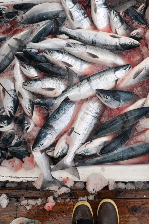 Alaska Fish Radio: Seafood Sales Continue to Surge at Retail, Alaska Salmon is in Demand