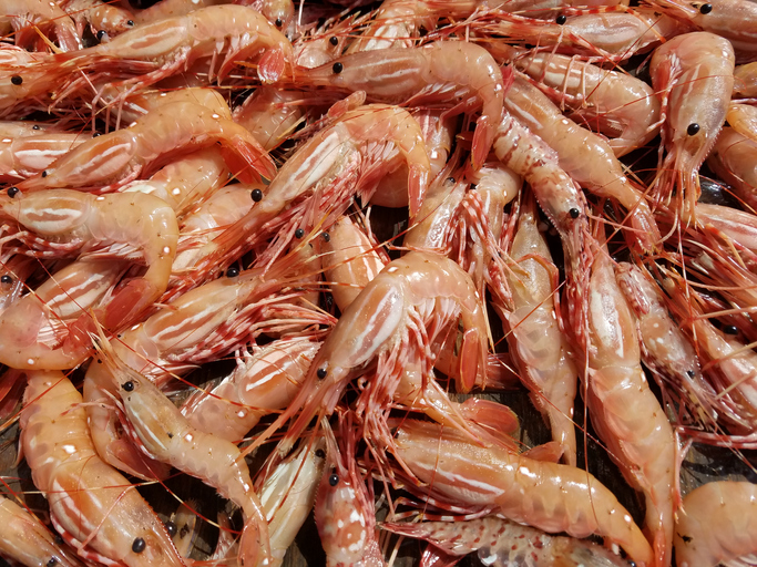A Closer Look at Shrimp Fisheries in Southeast Alaska