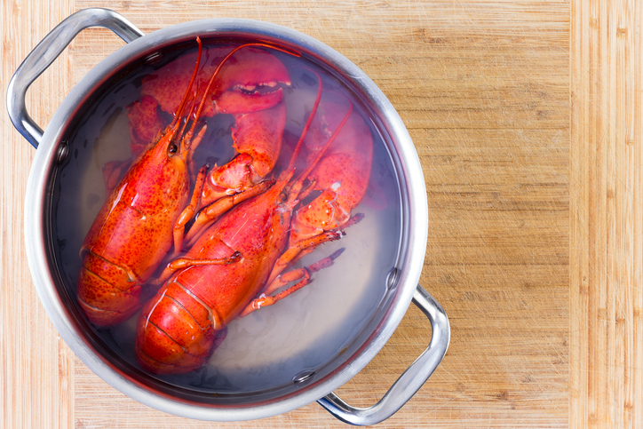 British Veterinary Association Calls For Ban on Boiling Lobsters Alive