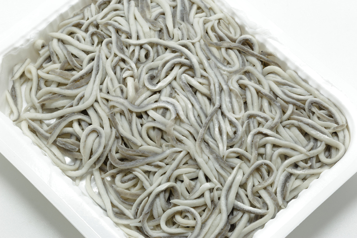 How Eels Became America’s Hottest Black-Market Item