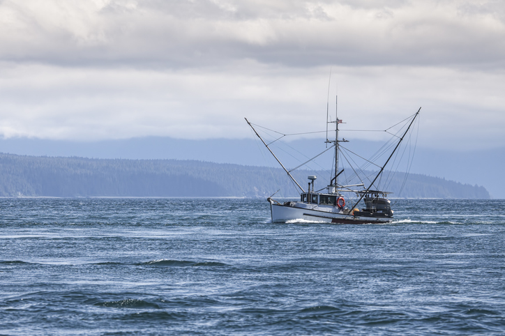 Fish Catches, Prices, Sales by Alaska Region Back to 1984