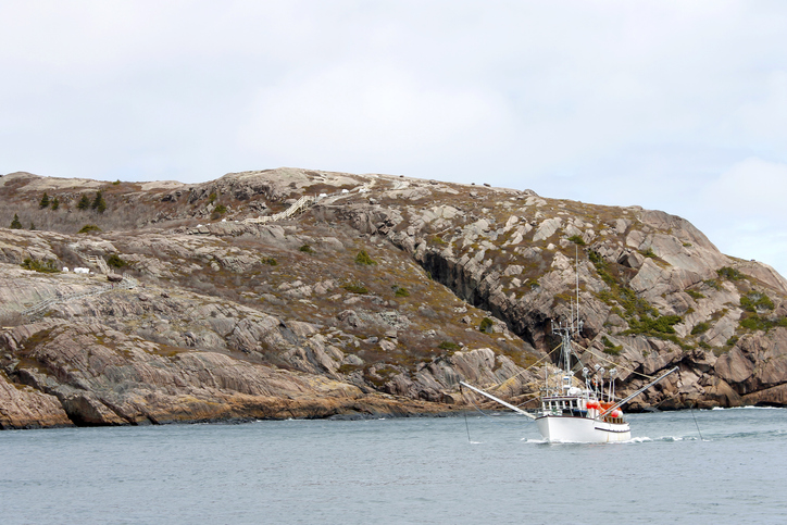 Newfoundland and Labrador Shrimp Season Still in Limbo
