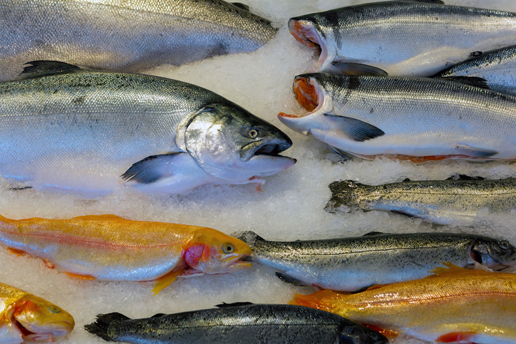 Prices Strong for Halibut and Salmon, Landings for Halibut on Par with YOY, Slow for CR Salmon