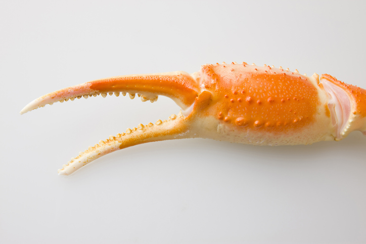 Japanese Snow Crab Season Opens, Auction Fetches ¥5 Million ($45,800) For One Crab