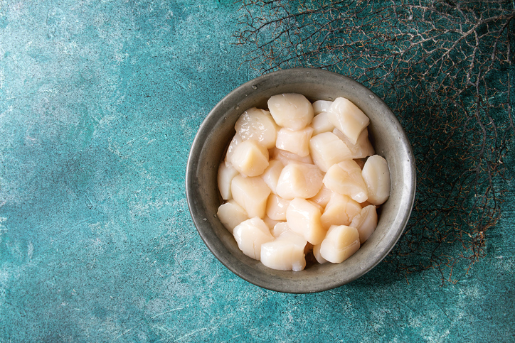 Kodiak Man Dives Into Scallop Fishery