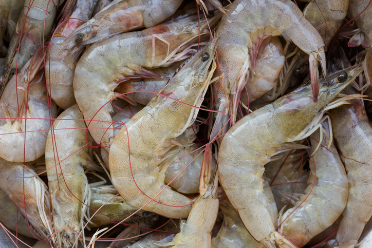 Changes in Market Forcing Price Increases in Chinese Imports of White Shrimp