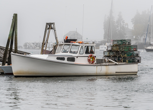 Maine: New Protections for Herring but Lobster Bait Crunch Imminent