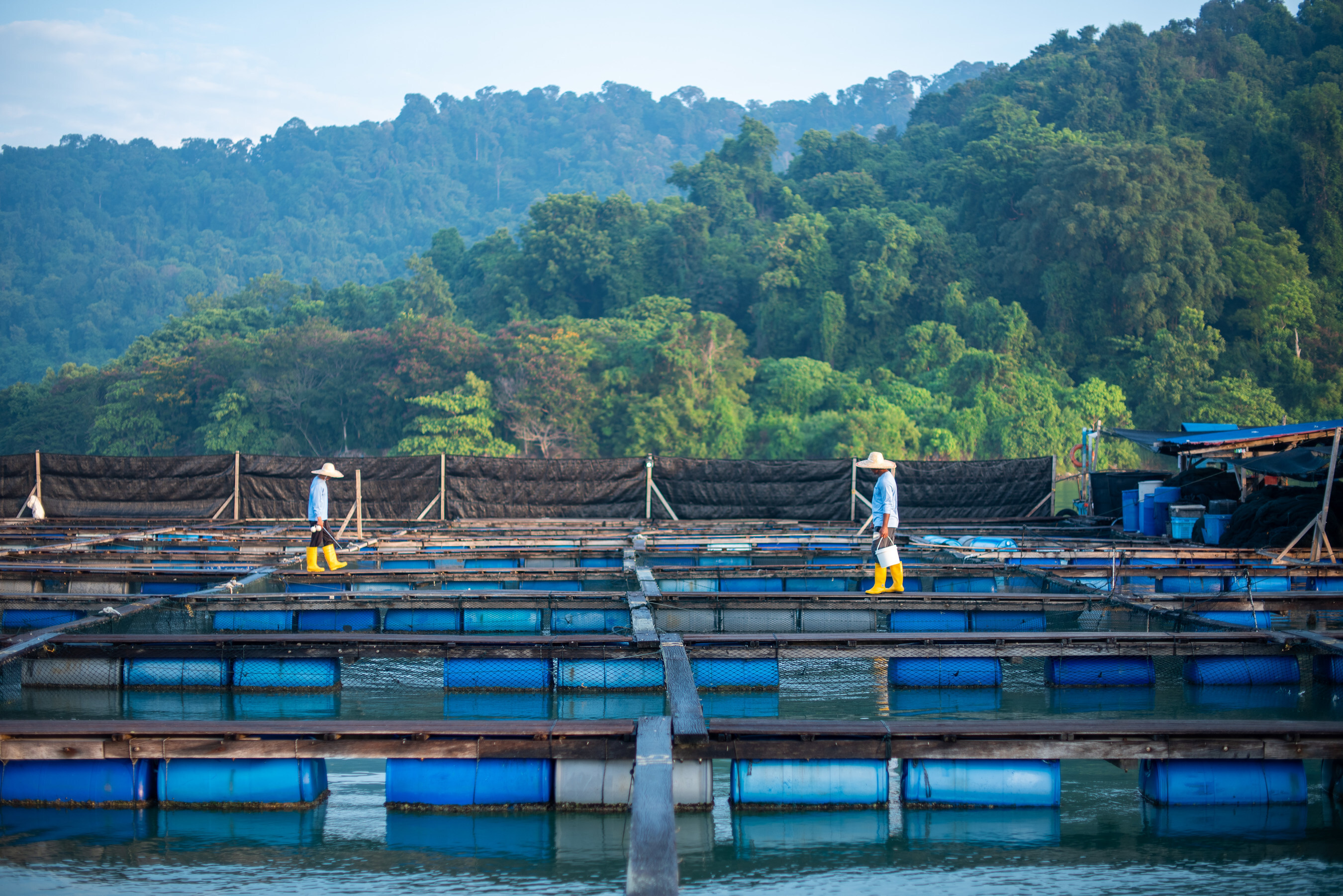 Global Seafood Alliance Unveils 2023 Annual Report