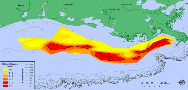 Gulf of Mexico “Dead Zone” Smaller Than Forecasted