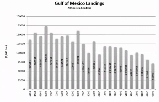 2020 Gulf of Mexico Shrimp Landings Lowest Recorded