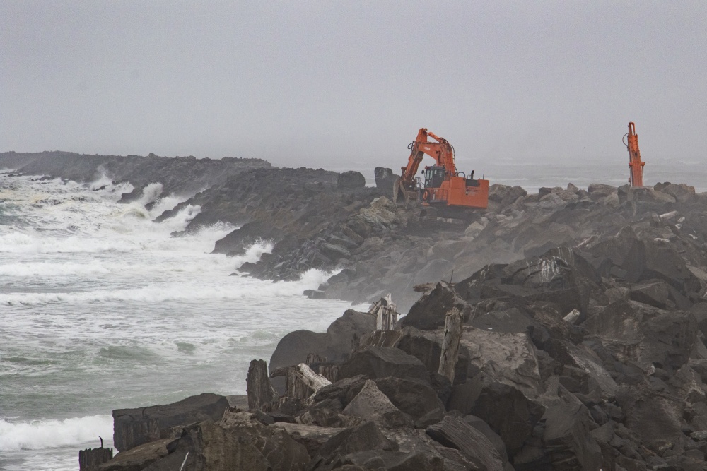 are dogs allowed at north jetty