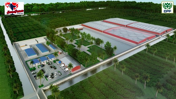 Charoen Pokphand Foods Releases More Information About Homegrown Shrimp Subsidiary, US Farm Plans