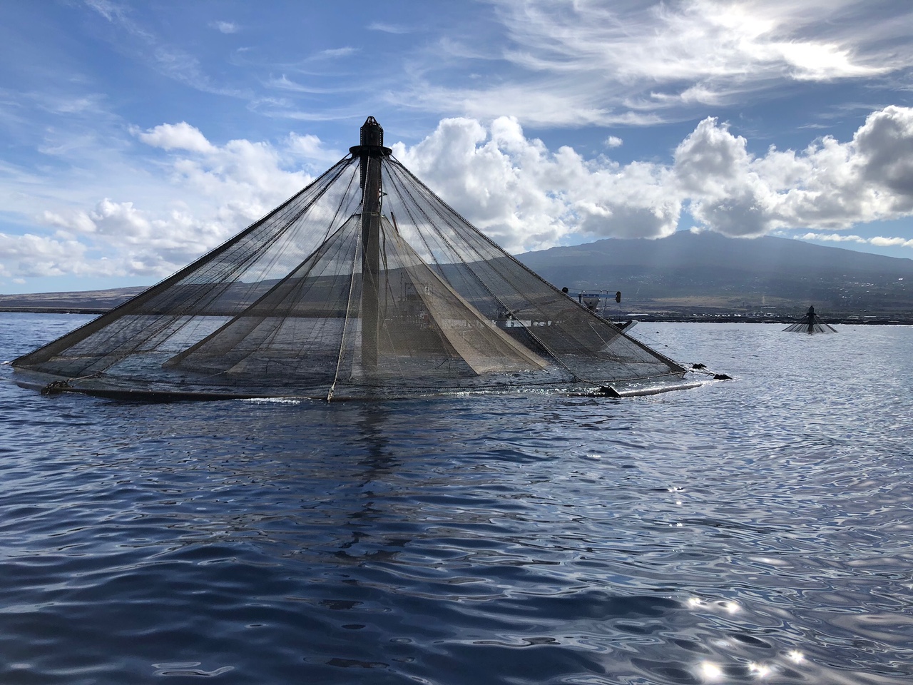 Blue Ocean Mariculture Becomes First U.S. Finfish Farm to Earn ASC Certification