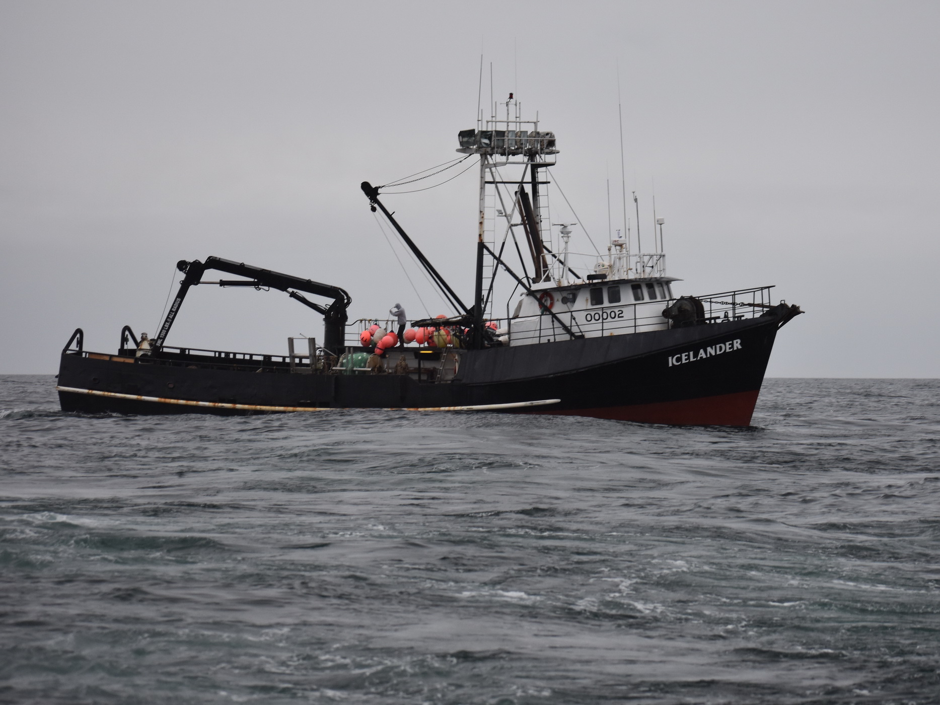 Port Moller Test Fishery Boosted by 2nd Vessel This Year from Icicle, Supported by Industry Funders