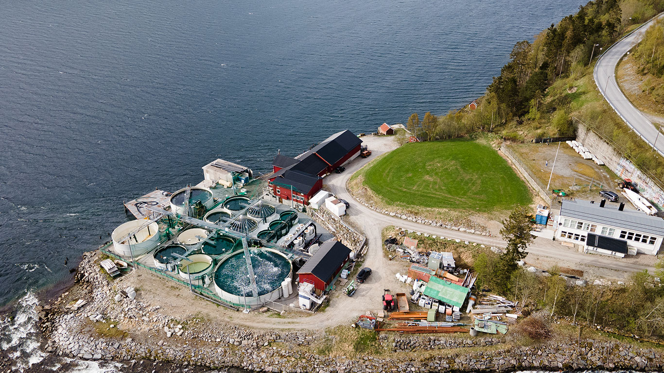 Salmon Evolution Acquires Smolt Producer Kraft Laks