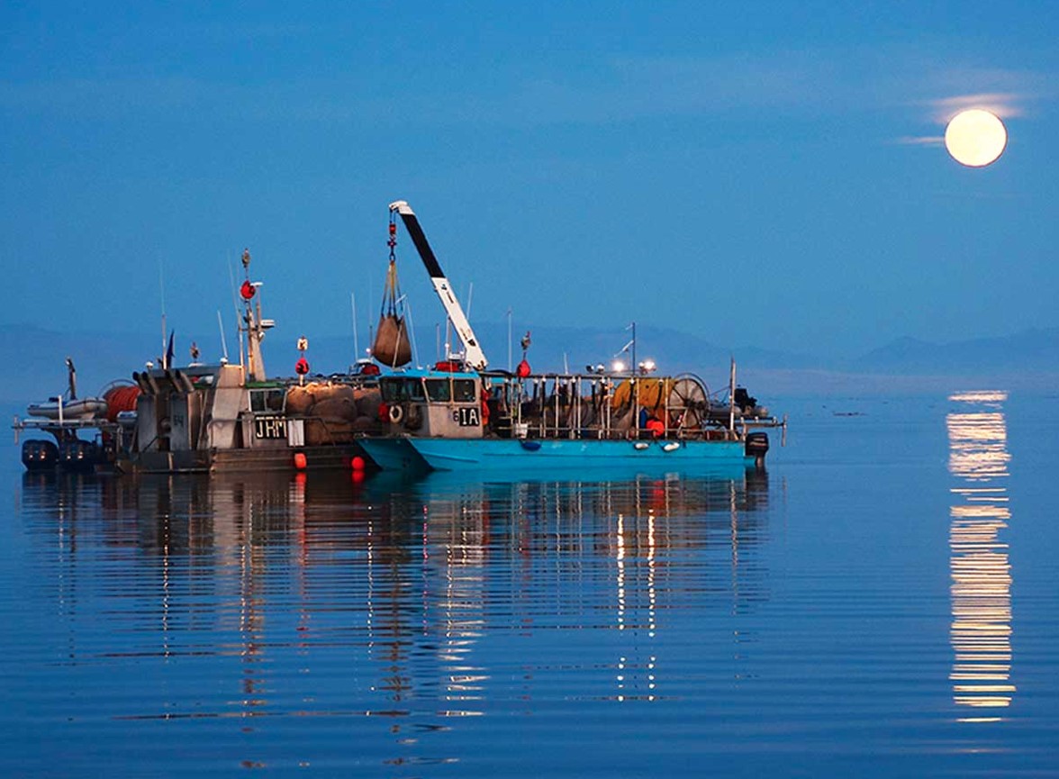 Great Salt Lake Brine Shrimp Fishery Meets MSCs Fishery Standard