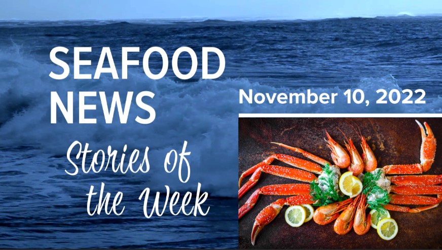 VIDEO: Bristol Bay Salmon Run; Lerøy Lay Offs; Snow Crab Update