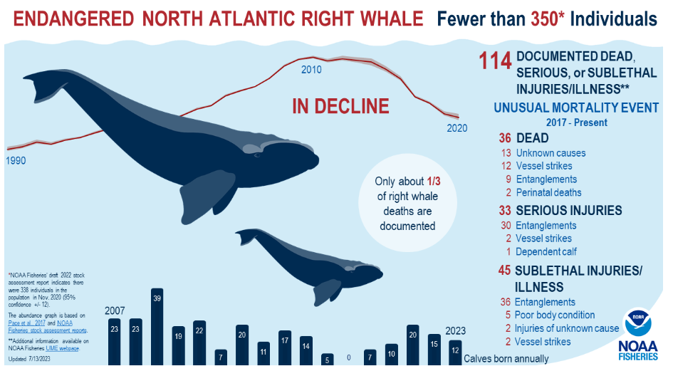 NOAA Updates North Atlantic Right Whale Unusual Mortality Event Data