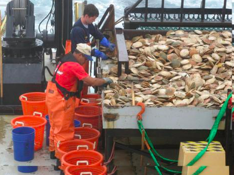 NOAA Taking Emergency Action to Reduce Economic Harm to Atlantic Sea Scallop Fishery