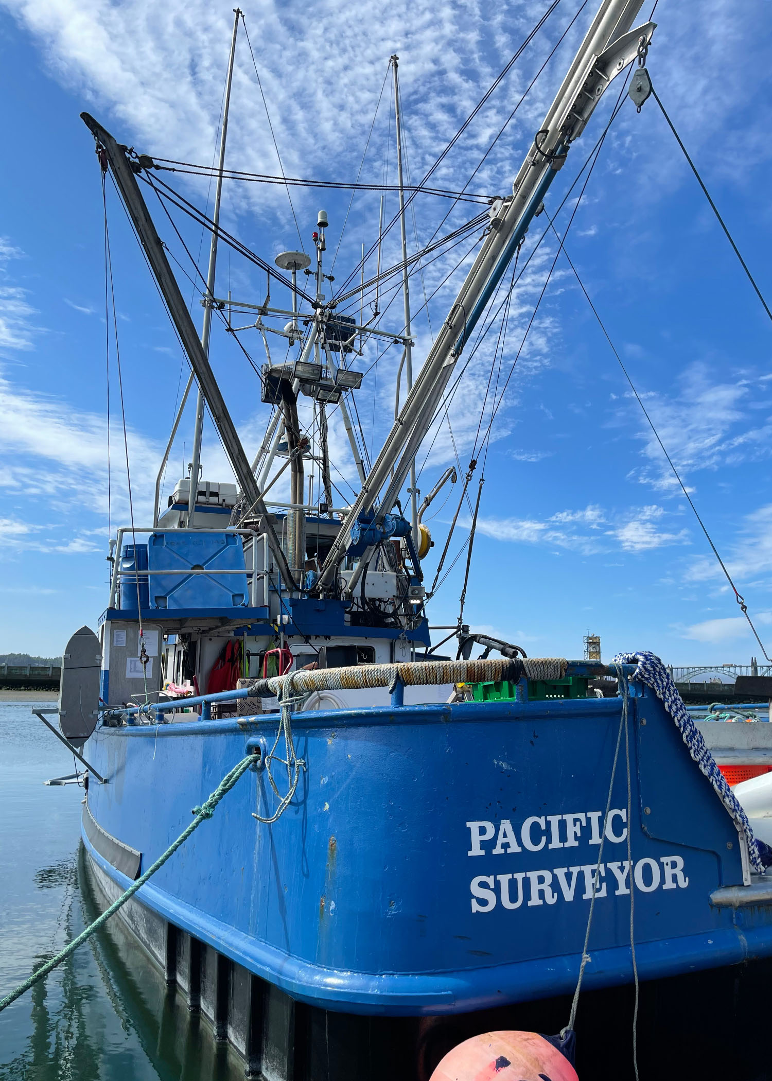 ODFW Researchers Use Video, Fish Finders to Survey Nearshore Blue, Black and Deacon Rockfish