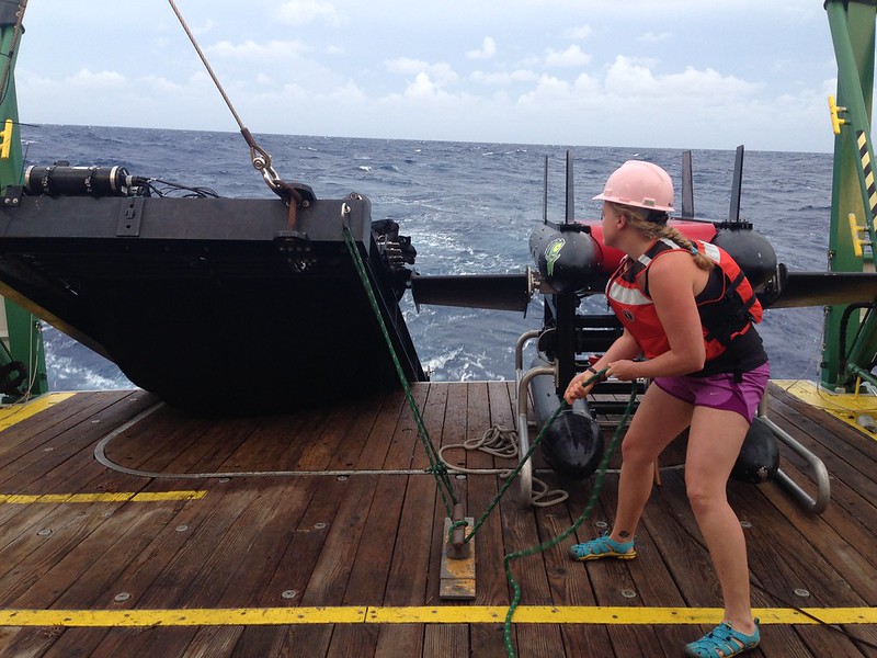 Oregon State Study: Water Temperature Shifts Affect Larval Tuna Eating Habits at Critical Life Stage